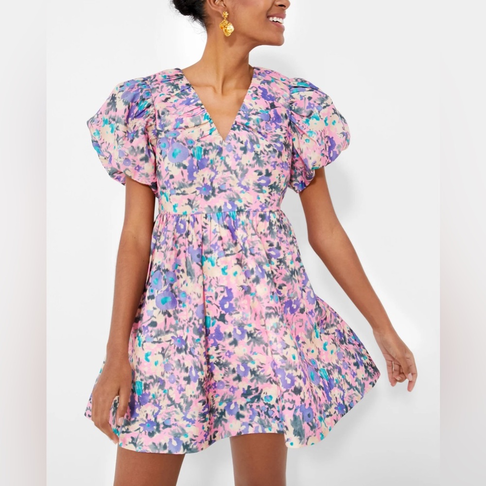 Tuckernuck HYACINTH HOUSE Pink Floral Sheila Mini Dress Medium